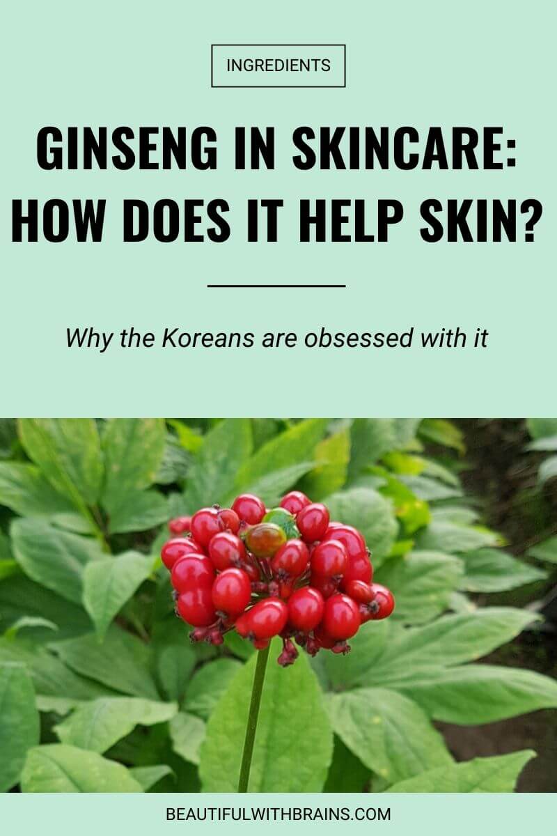ginseng skincare